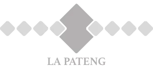 lapateng-logo-silver